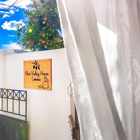 Olive Valley Traditional House Limnai Exterior photo