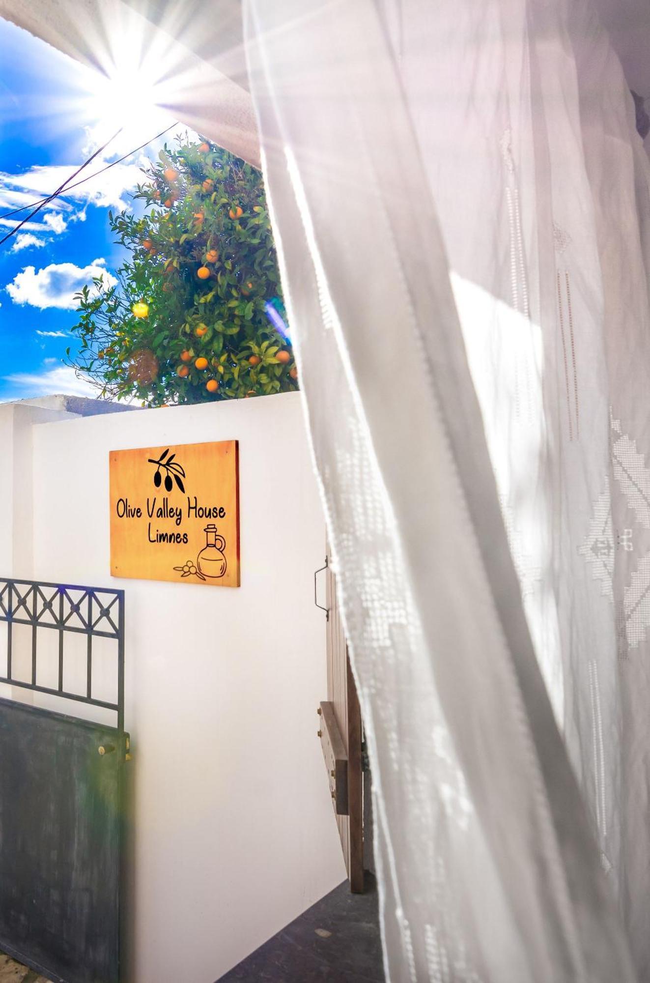 Vakantiehuis Olive Valley Traditional House Limnai
